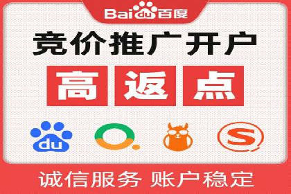 某行业SEM投放效果显著案例分享