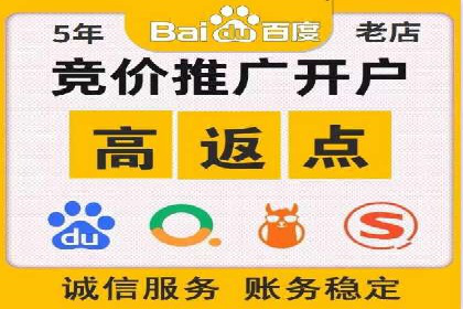 知名SEM服务公司成功案例分享